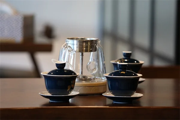 水蕨の育て方完全ガイド！失敗しないコツを初心者向けに解説