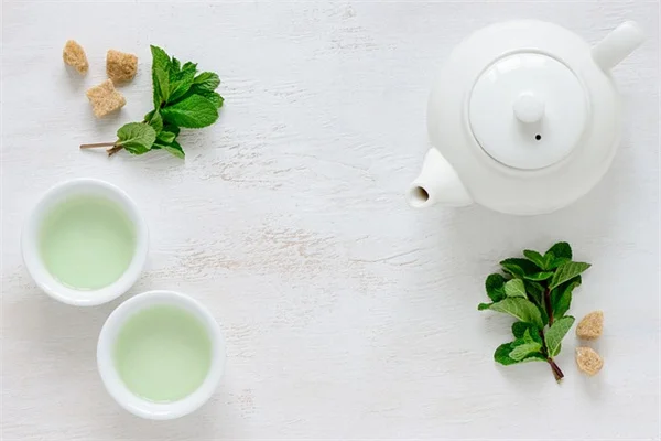 クリスマスに苔玉？意外と合う4つの植物と作り方のコツ